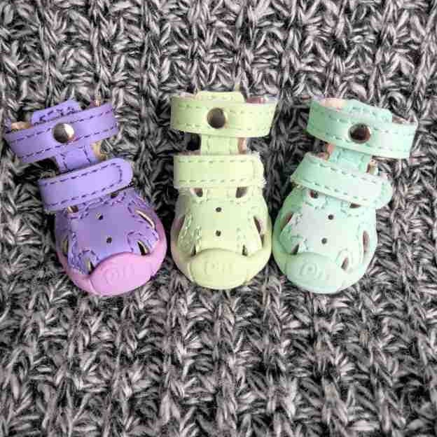 2024-02-19 14:15:48.jpg