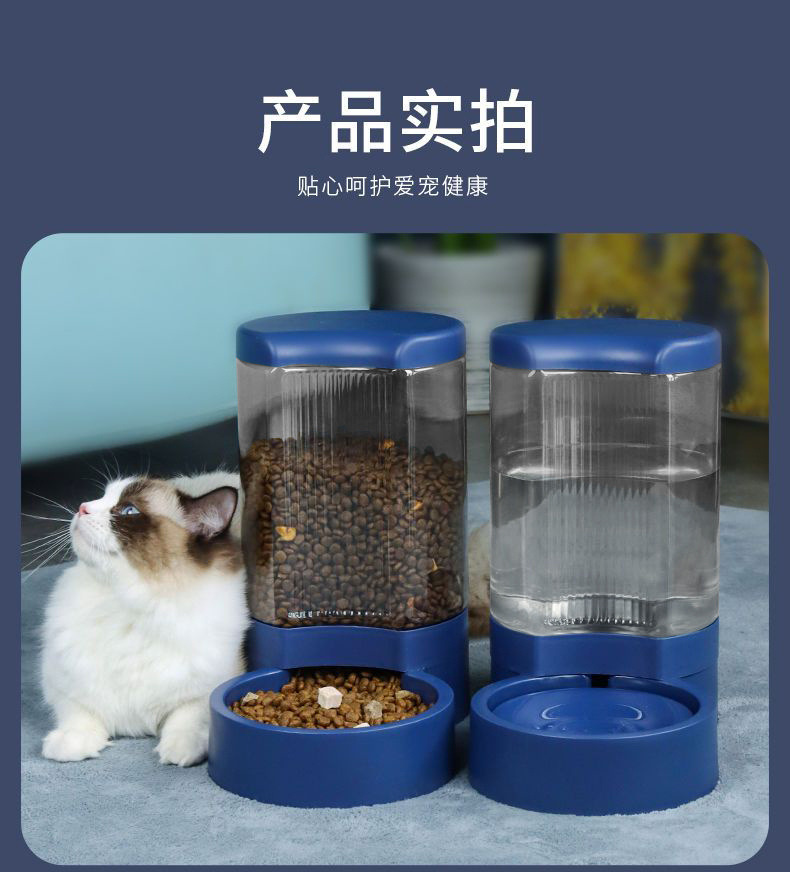 06fe1198-bcd8-4ebf-bf14-0f15e5183cd9.jpe