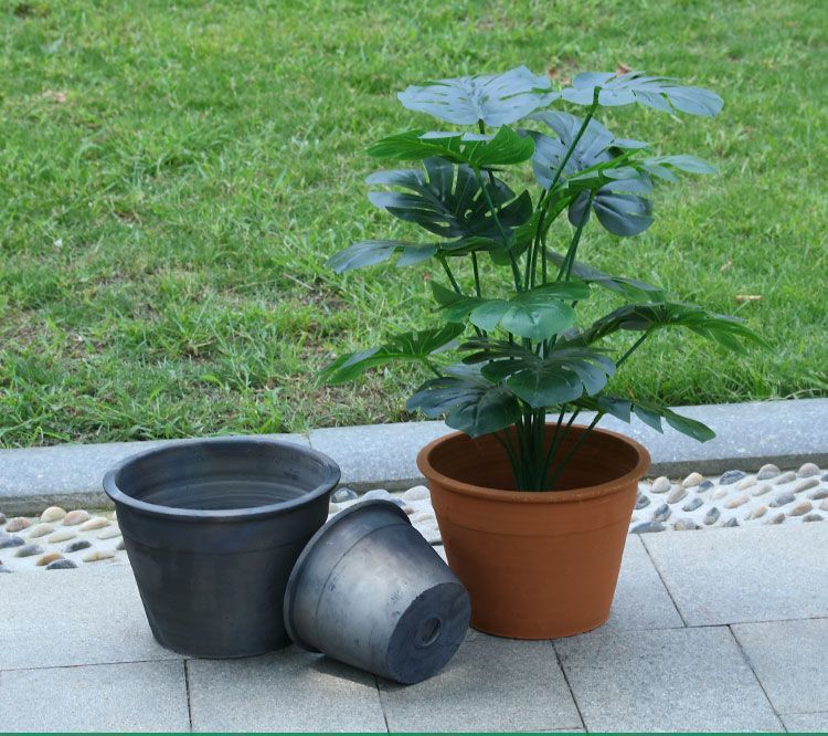 a8428b19-1333-47de-954e-0e165df2b550.jpe