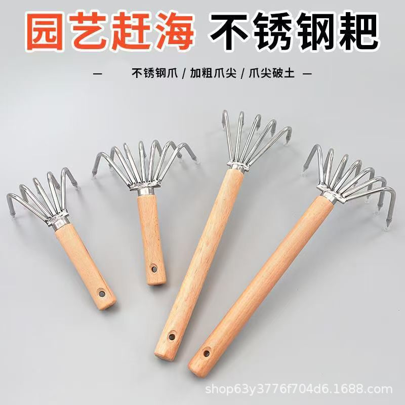 微信图片_202504151025514.jpg