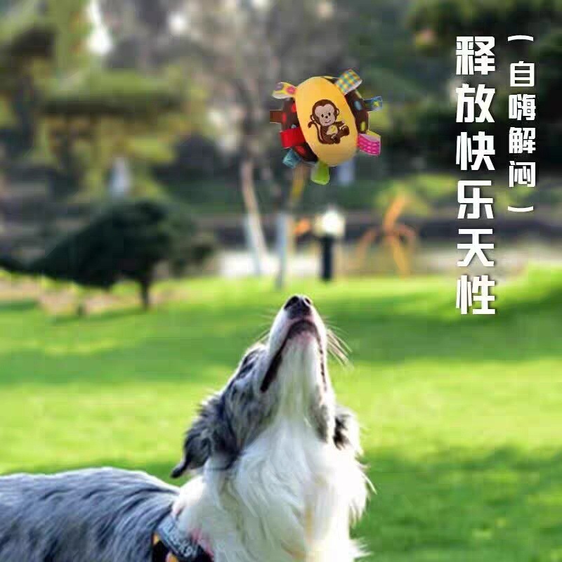 51852360-e703-40a2-beb5-e2b8062b4c6a.jpe