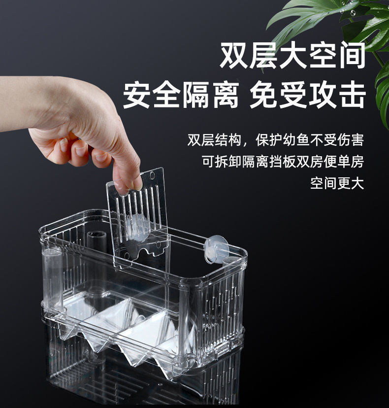 b5917f34-85ab-483e-91ca-e2ef5d32a59f.jpe