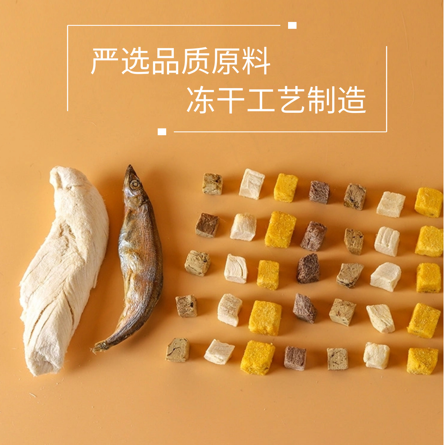 冻干新详情