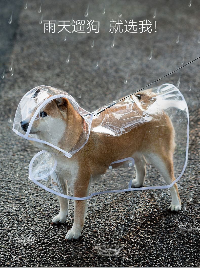 f870cc5a-a634-46fa-bd95-5a52dc52d0ad.jpe