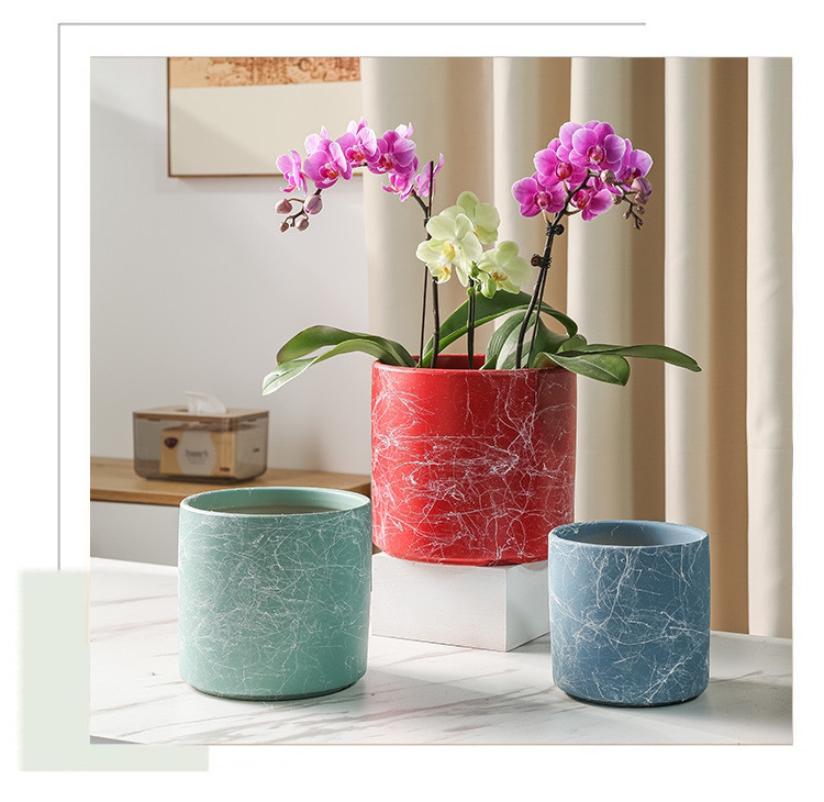 b5f7194d-515c-4ed9-b73c-2e7a1a85accb.jpe