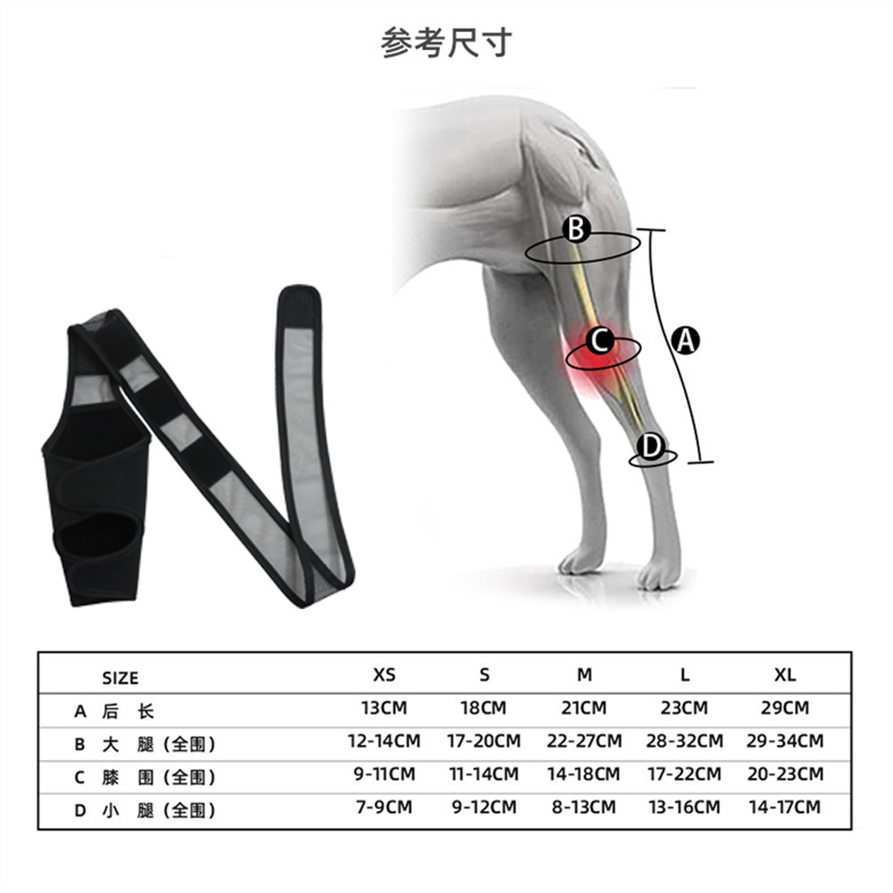 O1CN01Nlcrq31NoAoGhl9Vp_!!2209