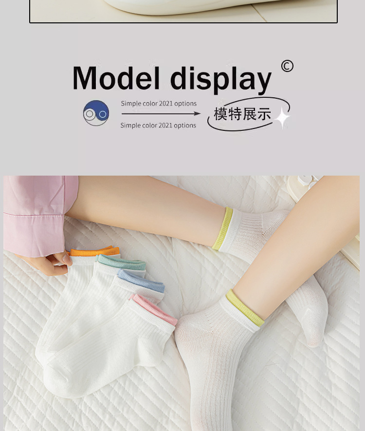 一键复制_20240410180251