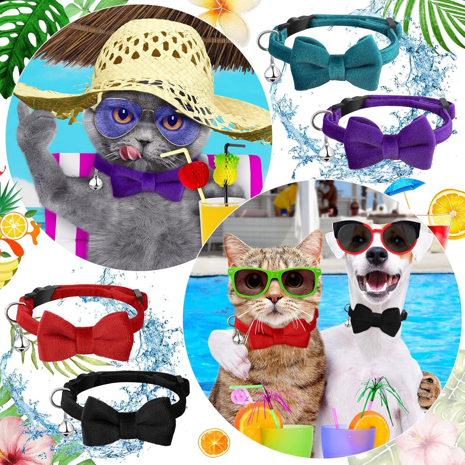 91ZFz066p7L._AC_SL1500_ (1).jp