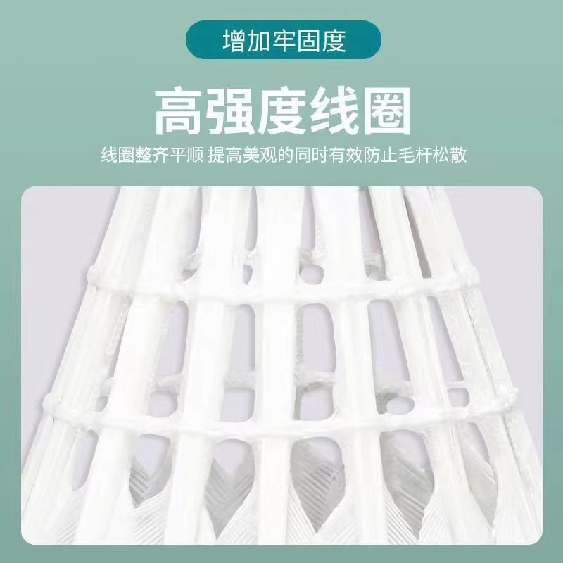 e5b8e22c-8391-48c1-bb13-e61b25a53df8.jpe