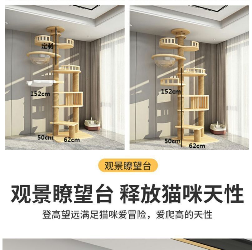 0494ee5b-8b09-48b1-b217-e81b9d6e3e53.jpe