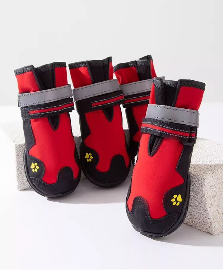 58bc7193-818c-497b-b3a6-3d4a6b7f23af.jpe