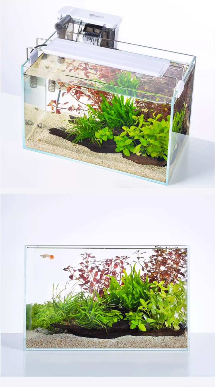 3ea0b5ec-fbe9-48c8-bb4c-18207e04d578.jpe