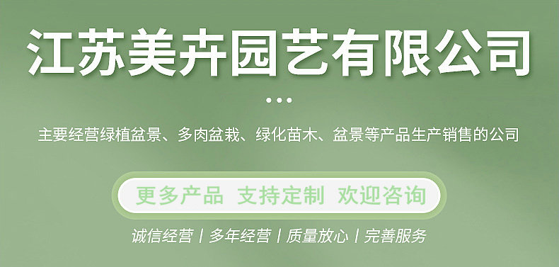 O1CN01Ilmzsg1qkABQxPAIh_!!4245