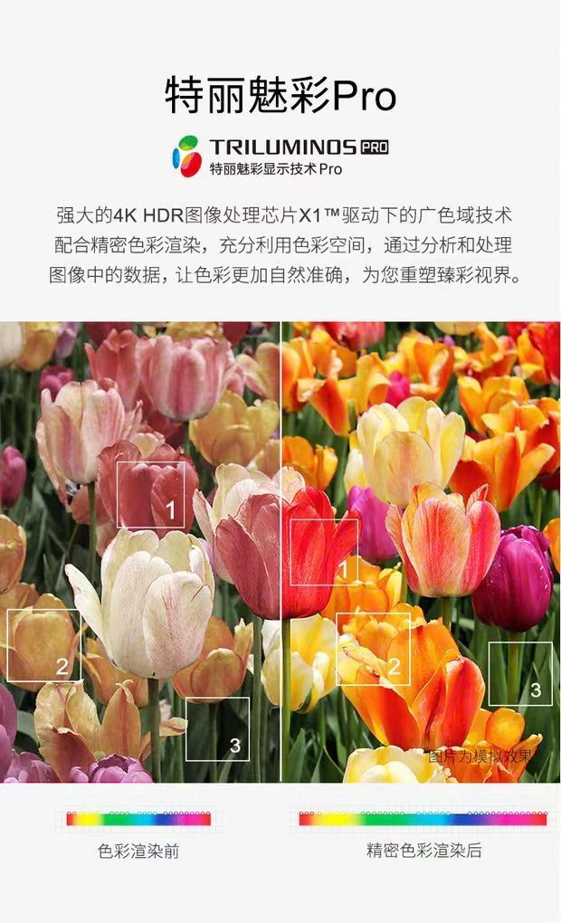 e5841bcc-4c62-48f3-adba-356f54c64a77.jpe