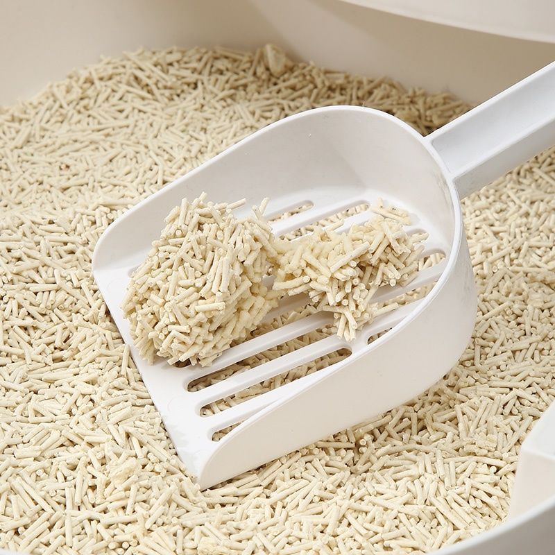 c0c5455b-1ee7-4fce-909b-bb8df9229bee.jpe