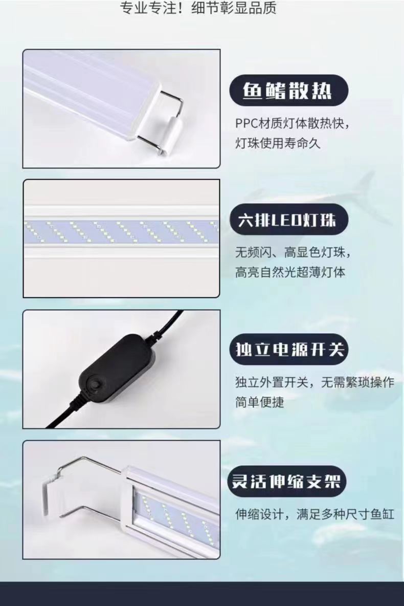 1152a930-f51e-47a5-aaaa-0a7a6c92d36e.jpe