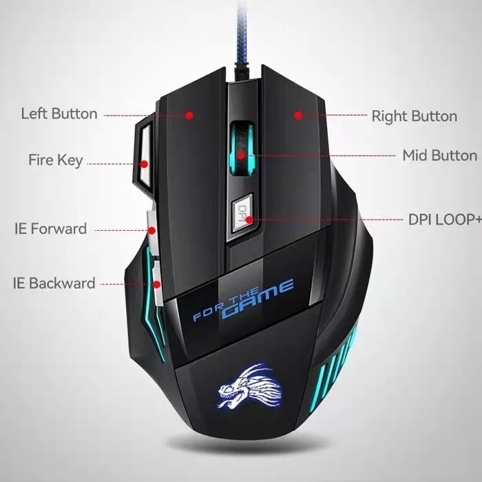 0ed68c1d-64d4-4a4e-b28d-4fbfa513003b.jpe