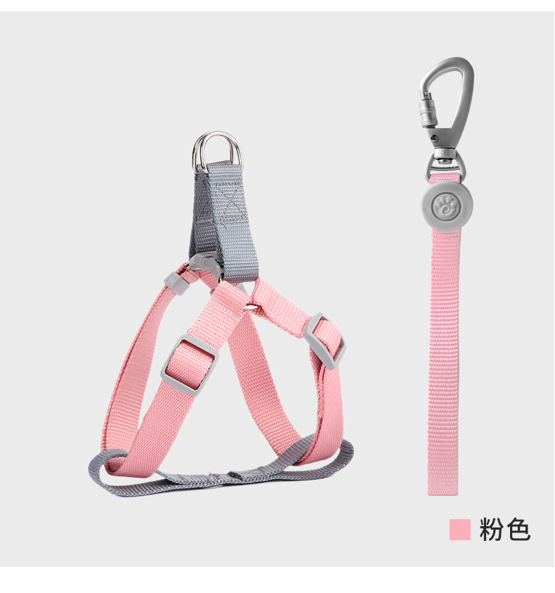 详情9