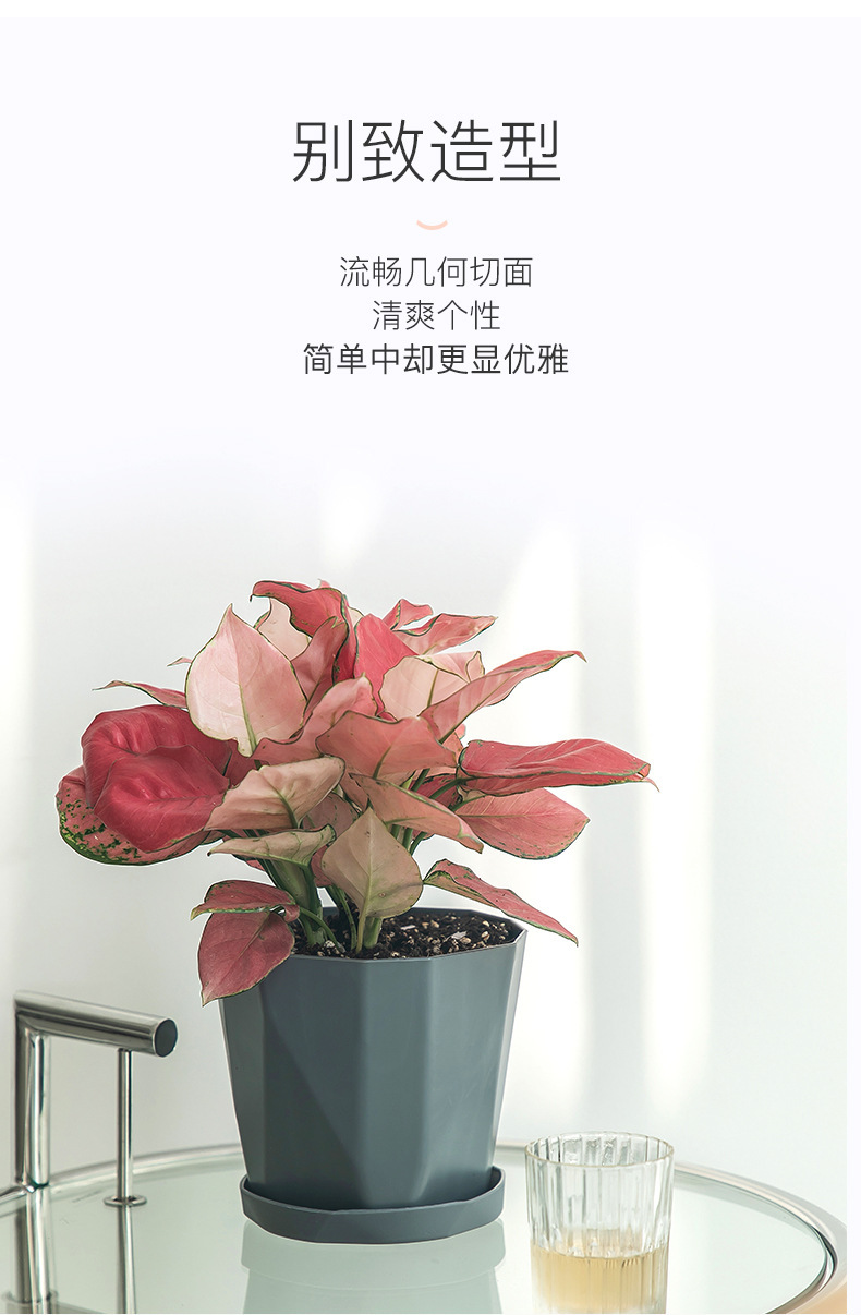 O1CN01Q18WCD1wyFzgDkJV4_!!2209