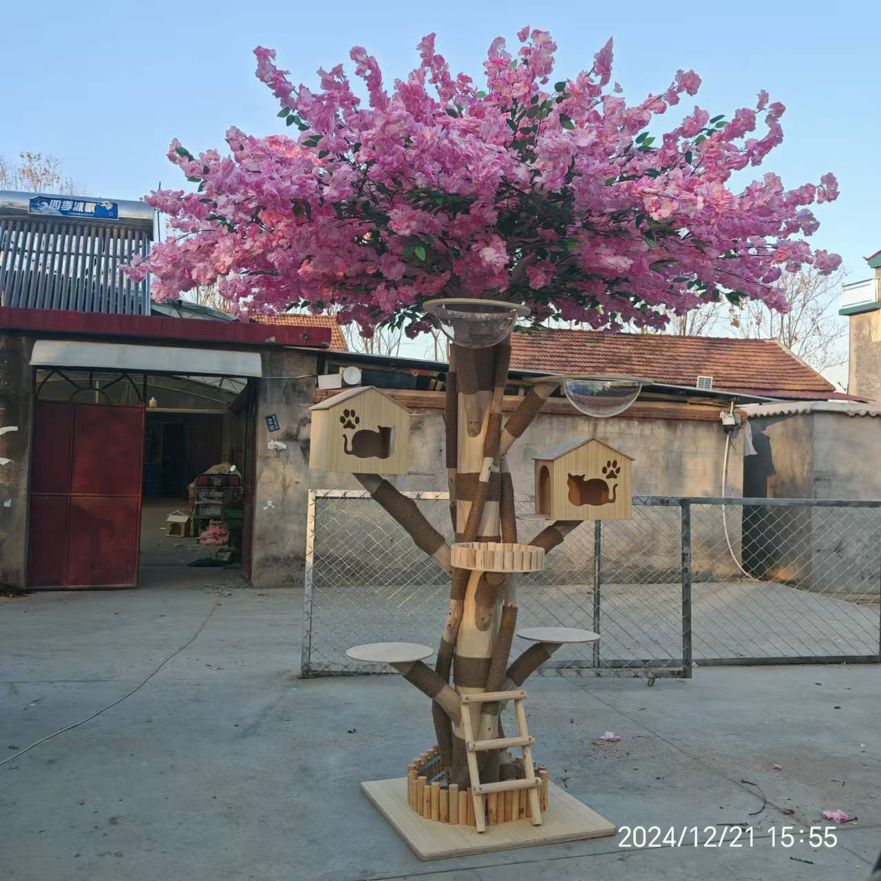 微信图片_20250117210910