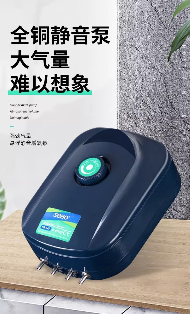 281215f3-a146-4509-a99c-c9898802e991.jpe