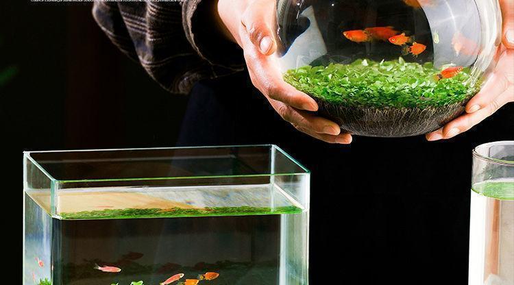 1c31b7e1-8a2c-49c2-b3ae-b384682146e5.jpe