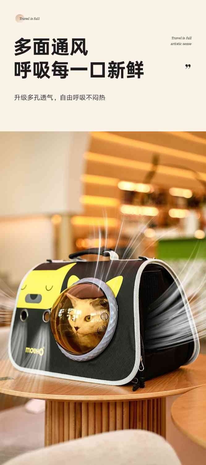 eedd41b3-2f88-4e5e-8fb9-ab9b74b8f594.jpe