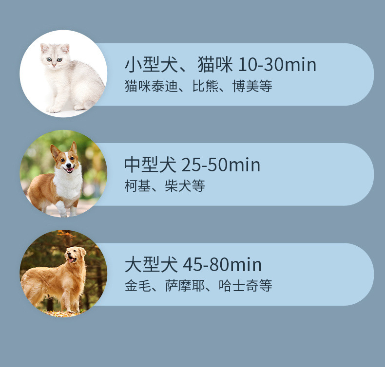 4f906f6d-abfb-4c4d-8315-a9f5eb6ef885.jpe