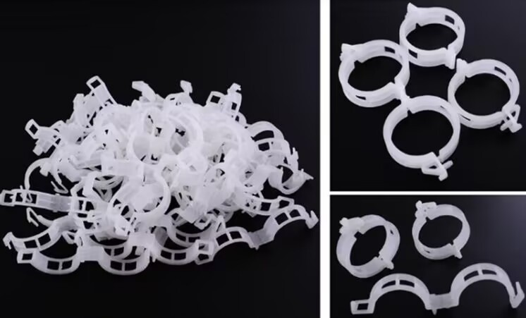 D2CD9D8E96C2B1BBC8192B909854D8