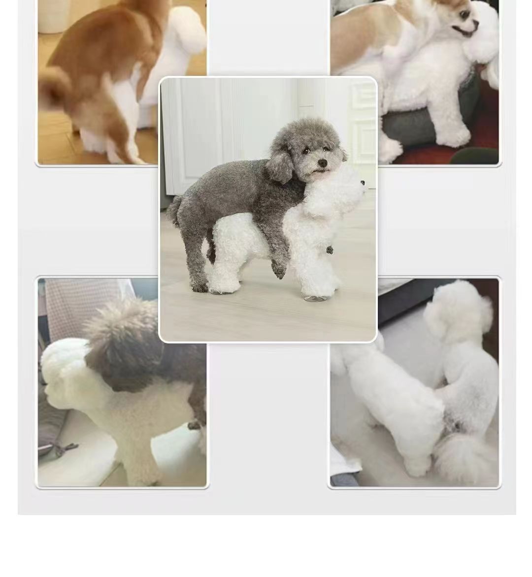 format,png