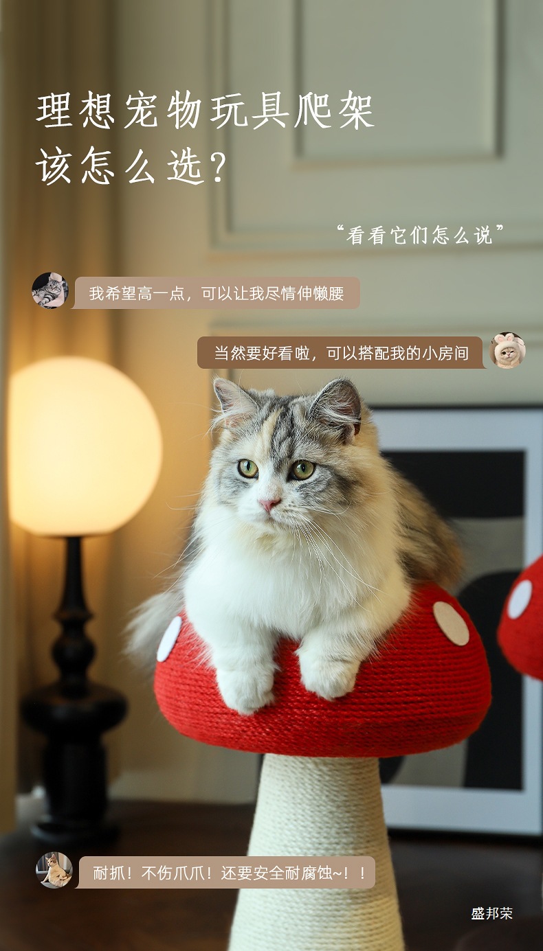 03.jpg?x-oss-process=image/format,png