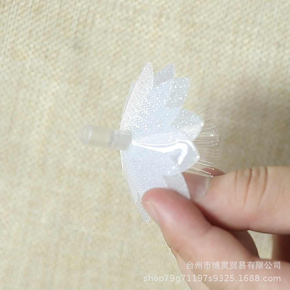 双层光纤一2.jpg