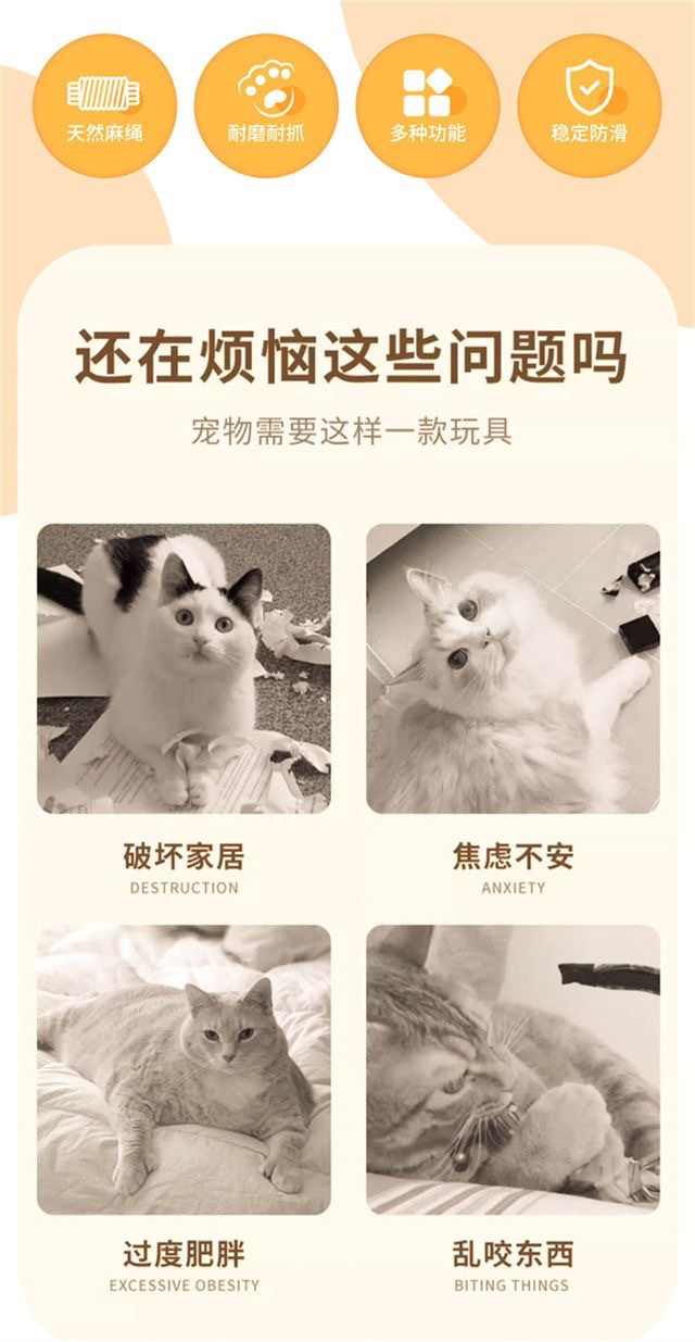 f8532ce2-5b8c-4711-a4c0-7c19f0e15b57.jpe