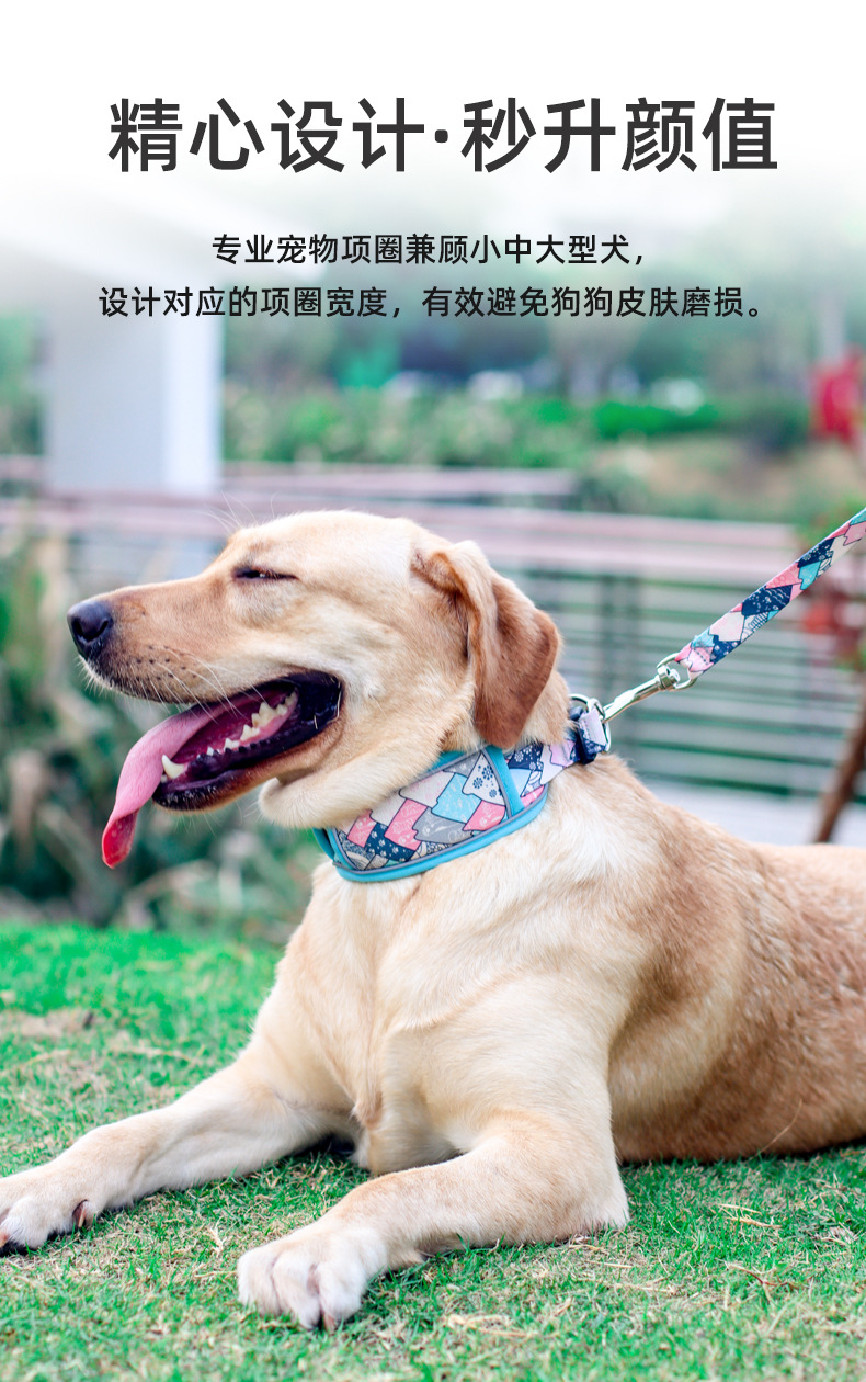 印花包边项圈_02.jpg