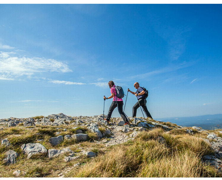 f85793a5-8dab-45af-892e-d5c1a1dde283.jpe