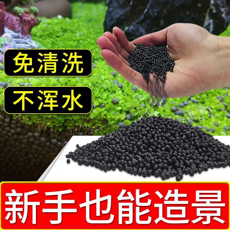 13891a4f-6392-4687-9549-199ee443aa92.jpe