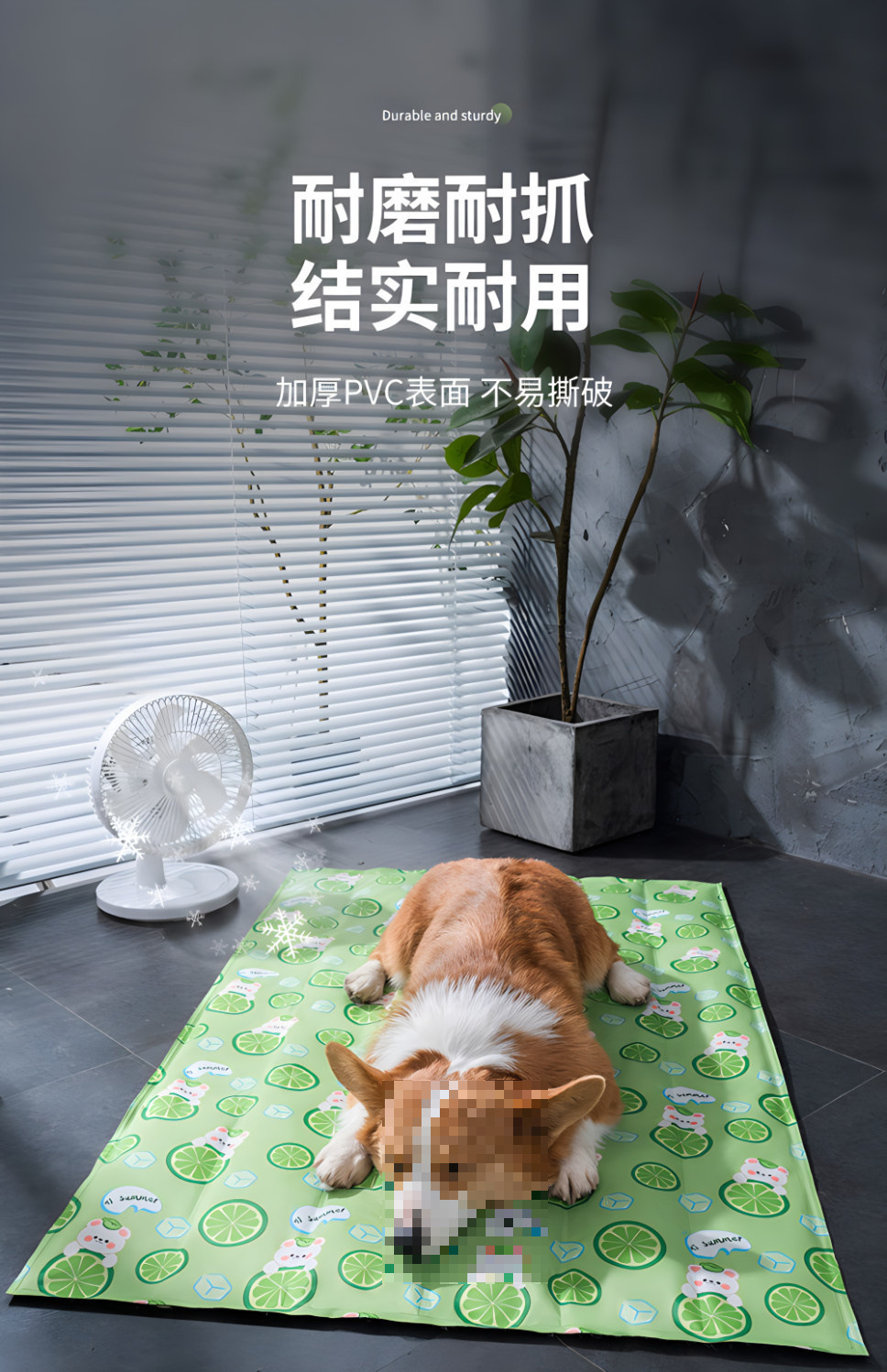 95e29ee2-32d8-49cf-a220-cb43ce639607.png