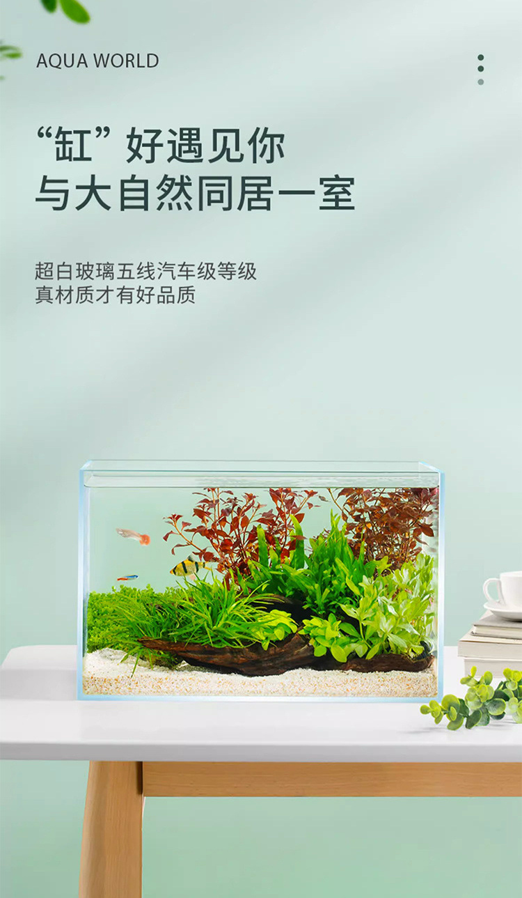 882634f8-1a36-4ce2-82b2-4cfca8e87b6a.jpe