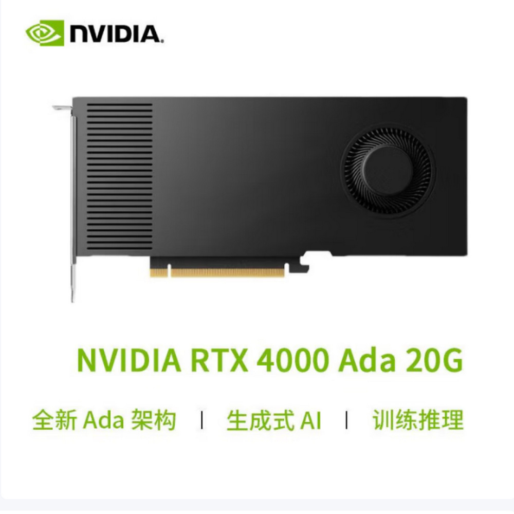RTX  4500  Ada  20G  _03