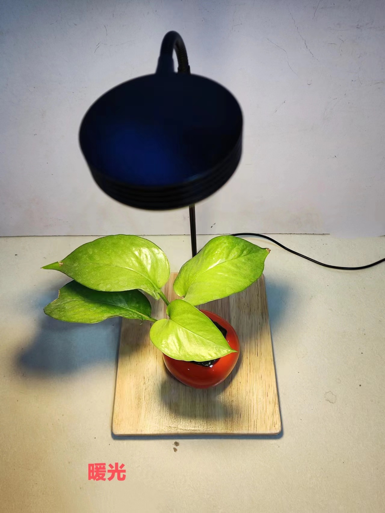 微信图片_20230108213756