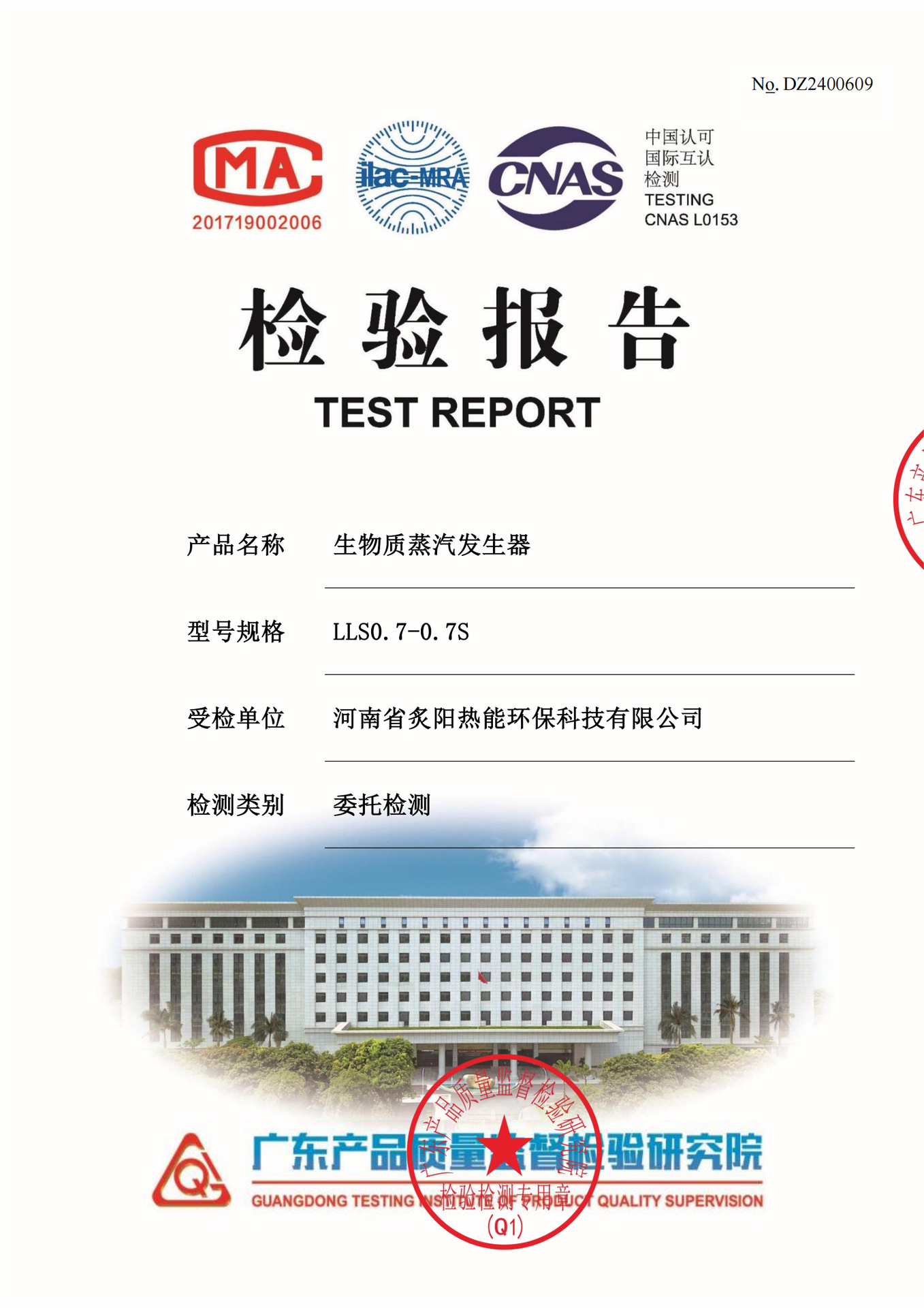 生物质蒸汽发生器检验报告