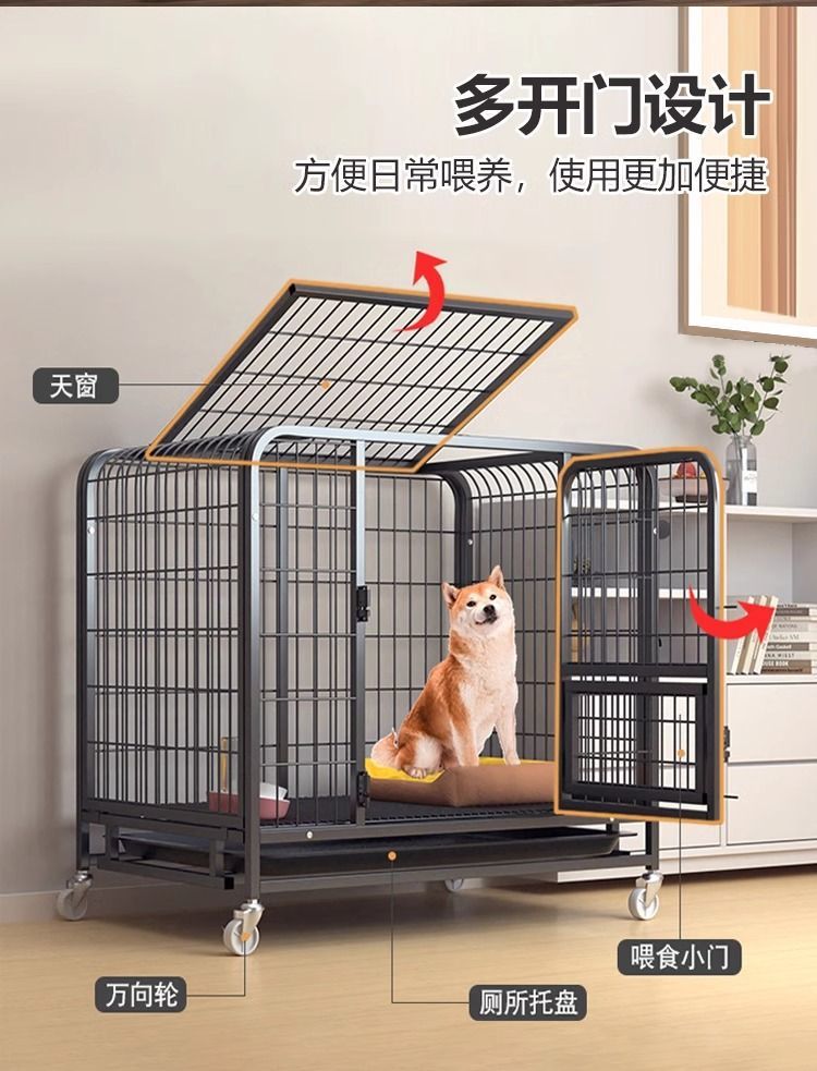 41062126-42a3-4bc2-9774-0d273093d549.jpe