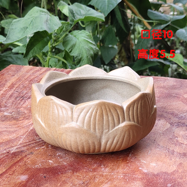 微信图片_20200627205434