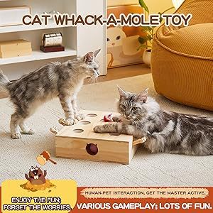 Whack-a-mole Interactive Cat Toy