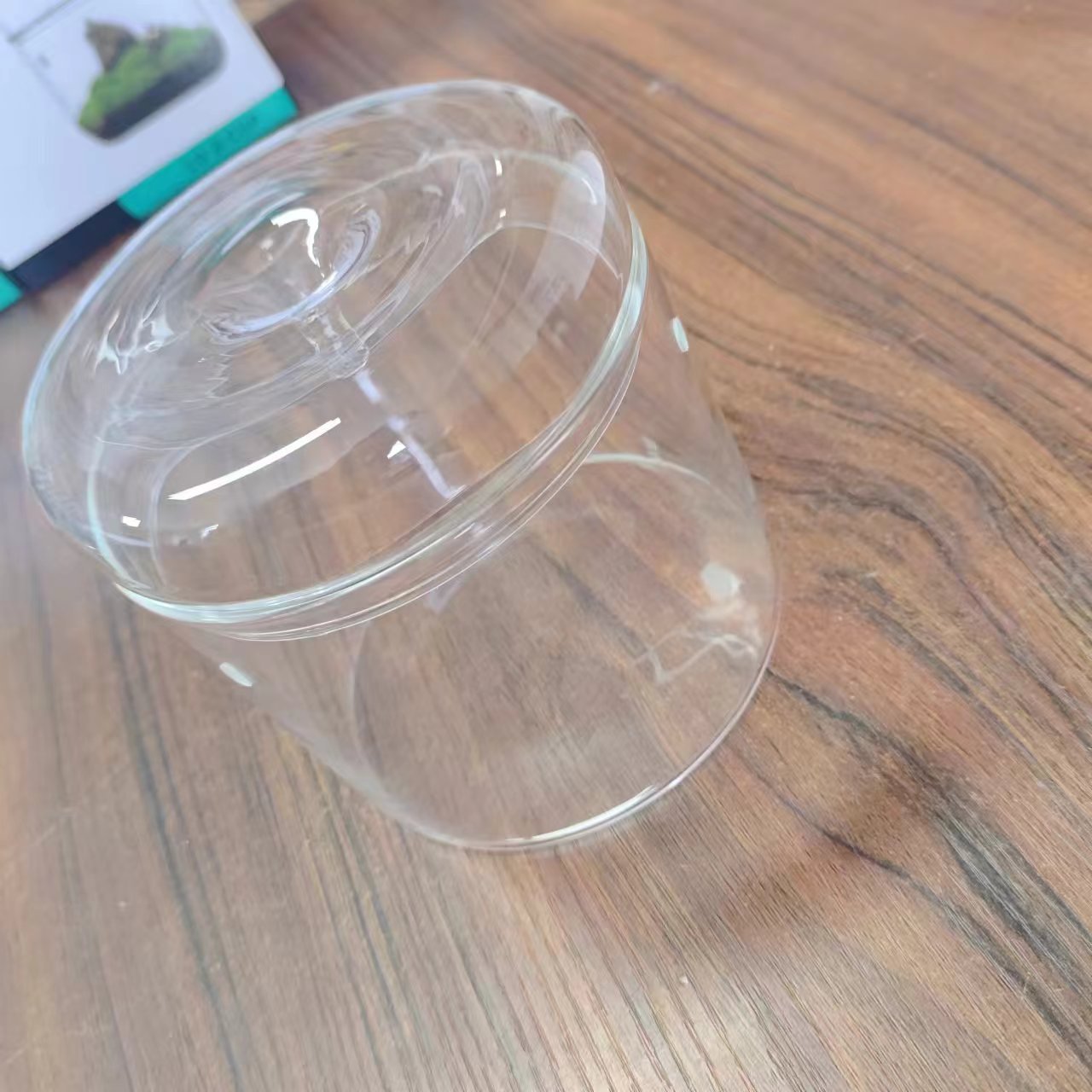 微景观造景缸 (2).jpg