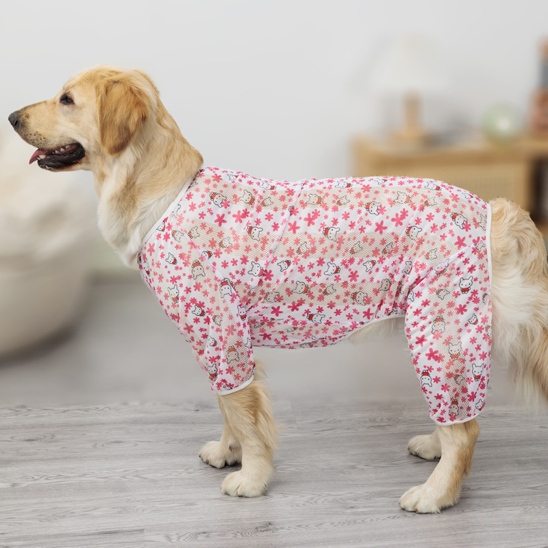 b2c58ef3-1675-458e-a718-eafdc4ceb294.jpe