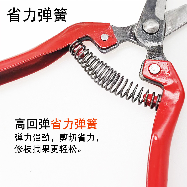 详情4.jpg