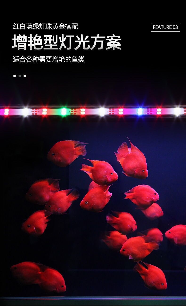 cef3b8f1-d6fc-4e3e-8116-c3e9413f7e1c.jpe