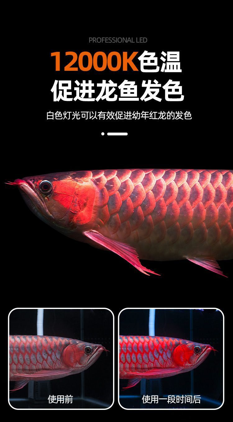 cc09e341-2656-4d40-9da4-44718aec3fb3.jpe