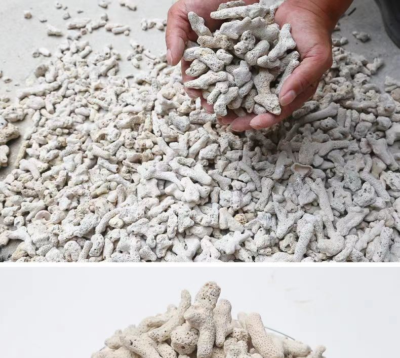 8b006629-62b5-412d-8afa-28c54793cc60.jpe